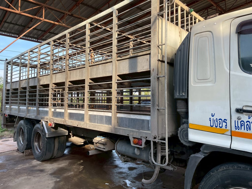 10 ล้อ เฉพาะกิจบรรทุกสุกร HINO FL8J 212 แรง ปี 53 10 ล้อ เฉพาะกิจบรรทุกสุกร HINO FL8J 212 แรง ปี 53