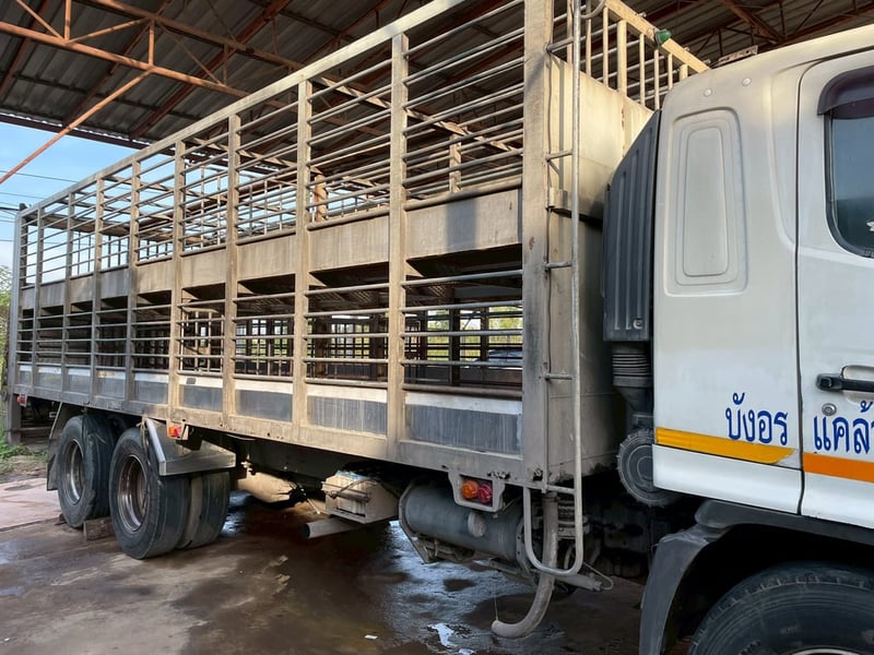10 ล้อ เฉพาะกิจบรรทุกสุกร  HINO FL8J 212 แรง ปี 53