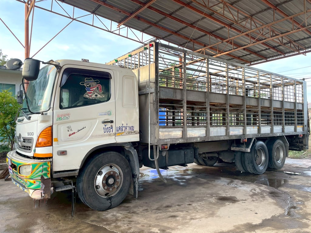 10 ล้อ เฉพาะกิจบรรทุกสุกร HINO FL8J 212 แรง ปี 53 10 ล้อ เฉพาะกิจบรรทุกสุกร HINO FL8J 212 แรง ปี 53