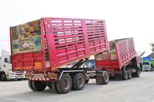 💥 Vายตัด สิบล้อดั้มพ์ 🔥  บรรทุกได้ 31+ ตัน(2591,2592)