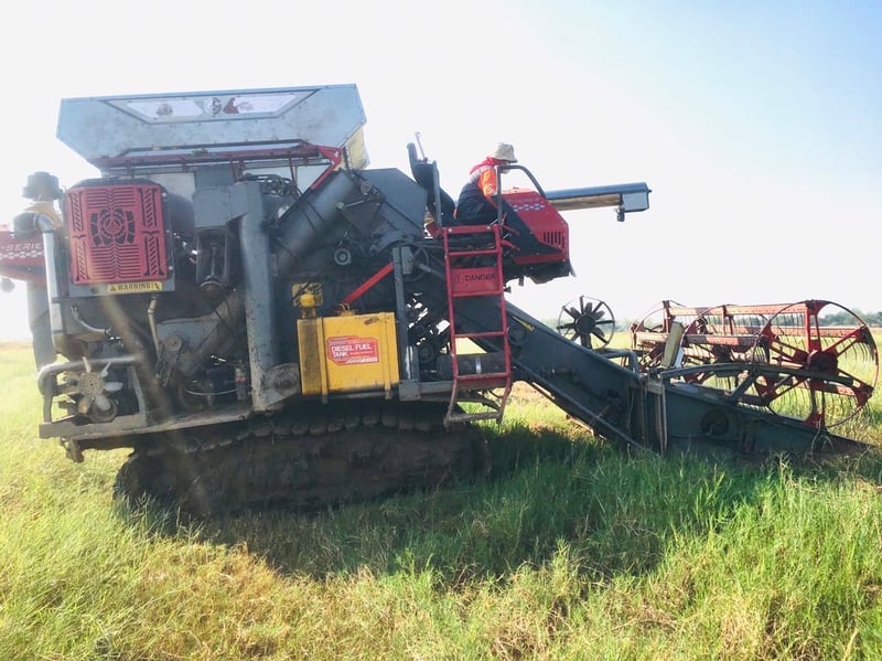 ขายรถเกี่ยวข้าวแทมโก้S5000ราคาพิเศษใช้งานน้อยรถปี 2564