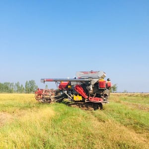 ขายรถเกี่ยวข้าวแทมโก้S5000ราคาพิเศษใช้งานน้อยรถปี 2564