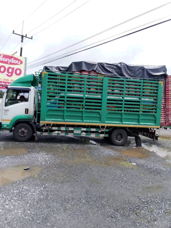 ISUZU FRR 210แรงม้า รถบรรทุก 6ล้อ กระบะเหล็ก ปี2023