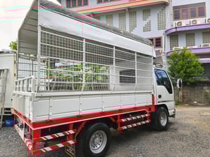 ISUZU NKR 2006 รถห้างแท้