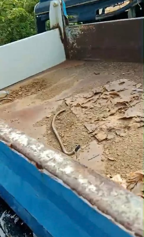 ขายรถ6ล้อดั้มmitsubishi 110แรง ใช้งานดี มีทะเบียน ราคา1.5แสน