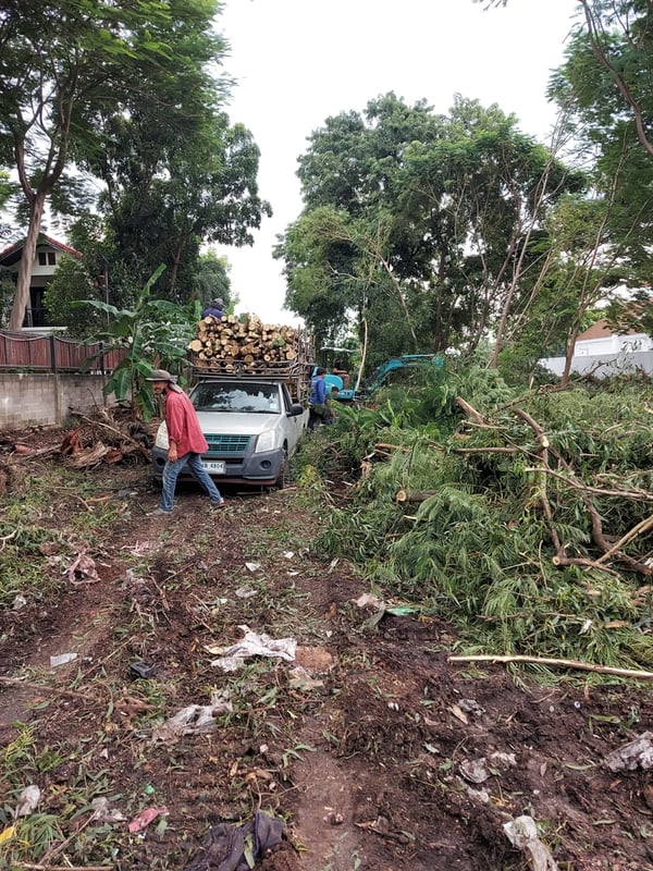 รับทำความสะอาดที่ดิน ขนต้นไม้ขยะออกทิ้ง รับขุดตอไม้ออก รับปรับที่ดิน รับไถกำจัดวัชพืช0828703954