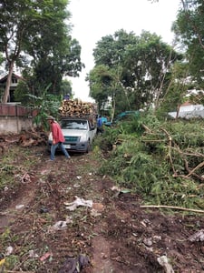 รับทำความสะอาดที่ดิน ขนต้นไม้ขยะออกทิ้ง รับขุดตอไม้ออก รับปรับที่ดิน รับไถกำจัดวัชพืช0828703954 รับทำความสะอาดที่ดิน ขนต้นไม้ขยะออกทิ้ง รับขุดตอไม้ออก รับปรับที่ดิน รับไถกำจัดวัชพืช0828703954