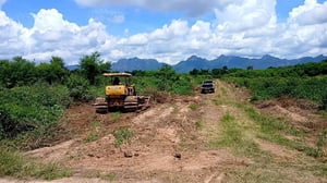 รถแทรกเตอร์CAT D4Dตีนเป็ด ใช้งานดี ใบซื้อขายราคา1.6แสน รถแทรกเตอร์CAT D4Dตีนเป็ด ใช้งานดี ใบซื้อขายราคา1.6แสน