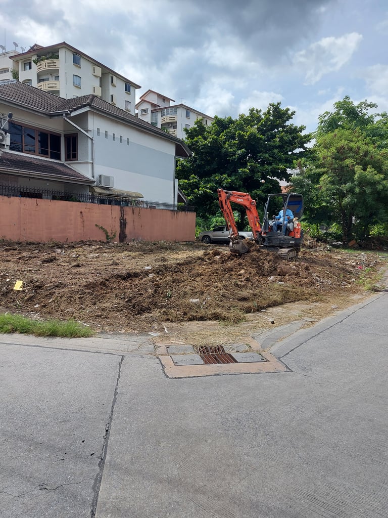 รับทำความสะอาดที่ดิน ขนต้นไม้ขยะออกทิ้ง รับขุดตอไม้ออก รับปรับที่ดิน รับไถกำจัดวัชพืช0828703954