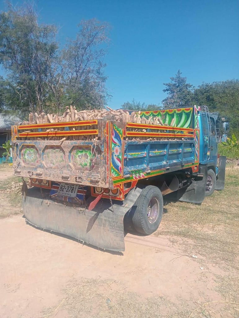 รถ6ล้อดั้มisuzu frr12f  195แรง ใช้งานดี มีทะเบียน ราคา4.3แสน