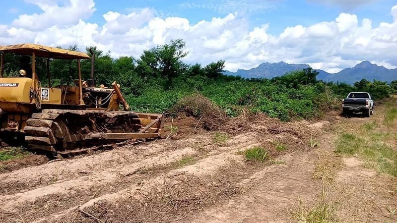 รถแทรกเตอร์CAT D4Dตีนเป็ด ใช้งานดี ใบซื้อขายราคา1.6แสน รถแทรกเตอร์CAT D4Dตีนเป็ด ใช้งานดี ใบซื้อขายราคา1.6แสน