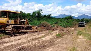 รถแทรกเตอร์CAT D4Dตีนเป็ด ใช้งานดี ใบซื้อขายราคา1.6แสน รถแทรกเตอร์CAT D4Dตีนเป็ด ใช้งานดี ใบซื้อขายราคา1.6แสน