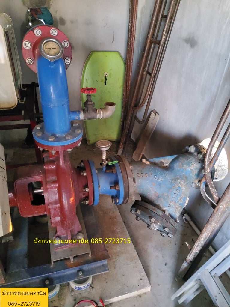 ชุดปั๊มน้ำ Ebara เข้า 5 ออก 4 นิ้ว (ไม่รวมเครื่องยนต์) มีข้อลด 6 ออก 5 นิ้ว สเตนเนอร์ 6 นิ้ว ข้ออ่อนสแตนเลส 6 นิ้ว และ ท่อทางออกมีเกจ 4 นิ้ว ปั๊มใบพัดทองเหลือง ชุดนี้ใช้เอง แรงดันดีมาก ใช้กับงานบิ๊กกันได้รัศมี 35 เมตร ใช้งานทำนาข้าว 16 ไร่ สูบน้ำใส่ 24 ชั่วโมงเต็ม ไม่รั่ว ไม่ซึม จากการลองใช้มาระย ชุดปั๊มน้ำ Ebara เข้า 5 ออก 4 นิ้ว (ไม่รวมเครื่องยนต์) มีข้อลด 6 ออก 5 นิ้ว สเตนเนอร์ 6 นิ้ว ข้ออ่อนสแตนเลส 6 นิ้ว และ ท่อทางออกมีเกจ 4 นิ้ว ปั๊มใบพัดทองเหลือง ชุดนี้ใช้เอง แรงดันดีมาก ใช้กับงานบิ๊กกันได้รัศมี 35 เมตร ใช้งานทำนาข้าว 16 ไร่ สูบน้ำใส่ 24 ชั่วโมงเต็ม ไม่รั่ว ไม่ซึม จากการลองใช้มาระย