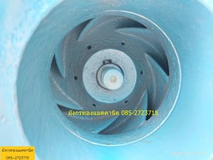 ปั๊มน้ำหอยโข่งแบบเพลาลอย Calpeda รุ่น N4 100-315 ขนาดท่อดูด-ส่ง 5x4 นิ้ว ใบพัดเหล็กหล่อ 12.5 นิ้ว เก็บงานสนิมด้านนอก ด้านในให้เรียบร้อย เช็คสภาพให้แล้วพร้อมใช้งาน ราคาตัวละ 14,000 บาทไม่รวมส่ง มี 1 ตัว