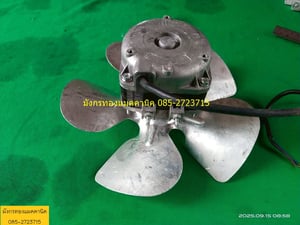 พัดลมระบายความร้อนตู้แช่ ยี่ห้อ ELCO ขนาด 16W ใช้ไฟบ้าน 220V ใบพัด 9 นิ้ว ใบพัดอลูมิเนียม สภาพดี ใช้งานได้ปกติ ตัวละ 300 บาทไม่รวมส่ง มี 16 ตัว พัดลมระบายความร้อนตู้แช่ ยี่ห้อ ELCO ขนาด 16W ใช้ไฟบ้าน 220V ใบพัด 9 นิ้ว ใบพัดอลูมิเนียม สภาพดี ใช้งานได้ปกติ ตัวละ 300 บาทไม่รวมส่ง มี 16 ตัว