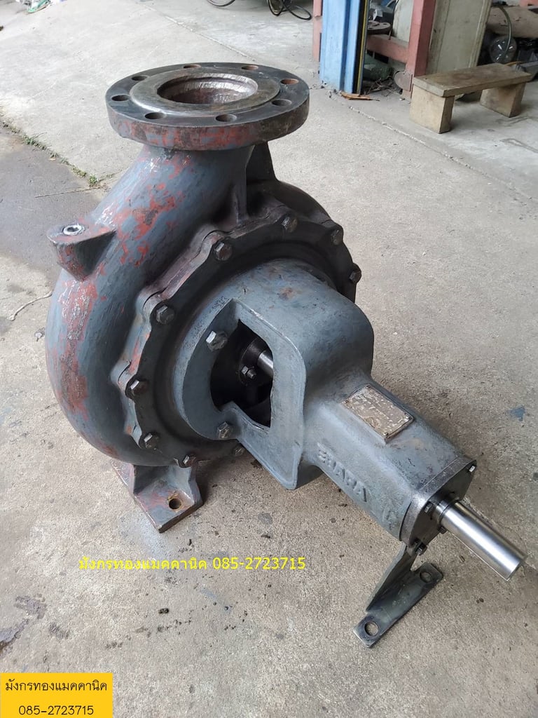 ชุดปั๊มน้ำ Ebara เข้า 5 ออก 4 นิ้ว (ไม่รวมเครื่องยนต์) มีข้อลด 6 ออก 5 นิ้ว สเตนเนอร์ 6 นิ้ว ข้ออ่อนสแตนเลส 6 นิ้ว และ ท่อทางออกมีเกจ 4 นิ้ว ปั๊มใบพัดทองเหลือง ชุดนี้ใช้เอง แรงดันดีมาก ใช้กับงานบิ๊กกันได้รัศมี 35 เมตร ใช้งานทำนาข้าว 16 ไร่ สูบน้ำใส่ 24 ชั่วโมงเต็ม ไม่รั่ว ไม่ซึม จากการลองใช้มาระย ชุดปั๊มน้ำ Ebara เข้า 5 ออก 4 นิ้ว (ไม่รวมเครื่องยนต์) มีข้อลด 6 ออก 5 นิ้ว สเตนเนอร์ 6 นิ้ว ข้ออ่อนสแตนเลส 6 นิ้ว และ ท่อทางออกมีเกจ 4 นิ้ว ปั๊มใบพัดทองเหลือง ชุดนี้ใช้เอง แรงดันดีมาก ใช้กับงานบิ๊กกันได้รัศมี 35 เมตร ใช้งานทำนาข้าว 16 ไร่ สูบน้ำใส่ 24 ชั่วโมงเต็ม ไม่รั่ว ไม่ซึม จากการลองใช้มาระย