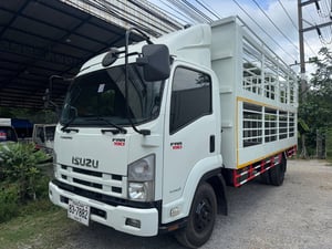 ISUZU FRR รถบรรทุก 6ล้อ รถบรรทุกหมู ปี2016