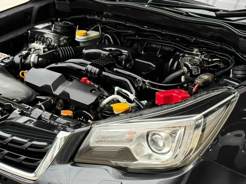 Forester 2.0i-P AWD มือเดียว เช็คศูนย์ ดูแลถึง ไม่เคยชน Forester 2.0i-P AWD มือเดียว เช็คศูนย์ ดูแลถึง ไม่เคยชน