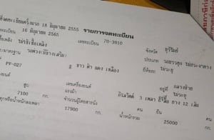 แม่ลูกไม่ดั้มพ์จิก้า