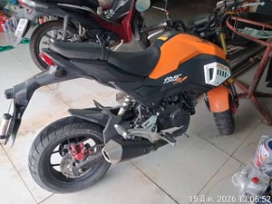 HONDA MSX125SF124.89c.c.