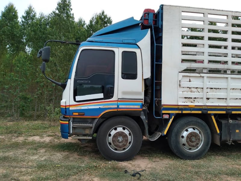 แม่ลูกไม่ดั้มพ์จิก้า