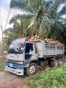 ขายดาวน์180,000 HINO FM3M240 ขายดาวน์180,000 HINO FM3M240