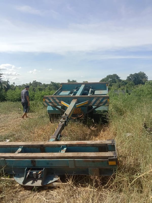 สาลี่ชัก