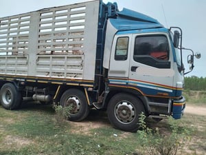 แม่ลูกไม่ดั้มพ์จิก้า