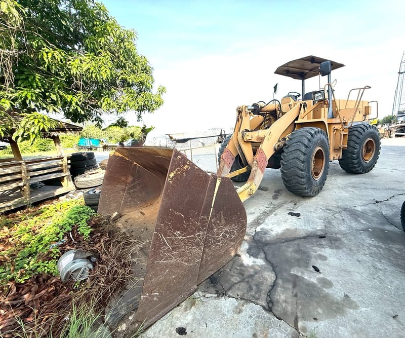 รถตักล้อยาง TCM รถตักล้อยาง TCM