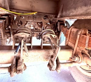 หางพื้นเรียบ