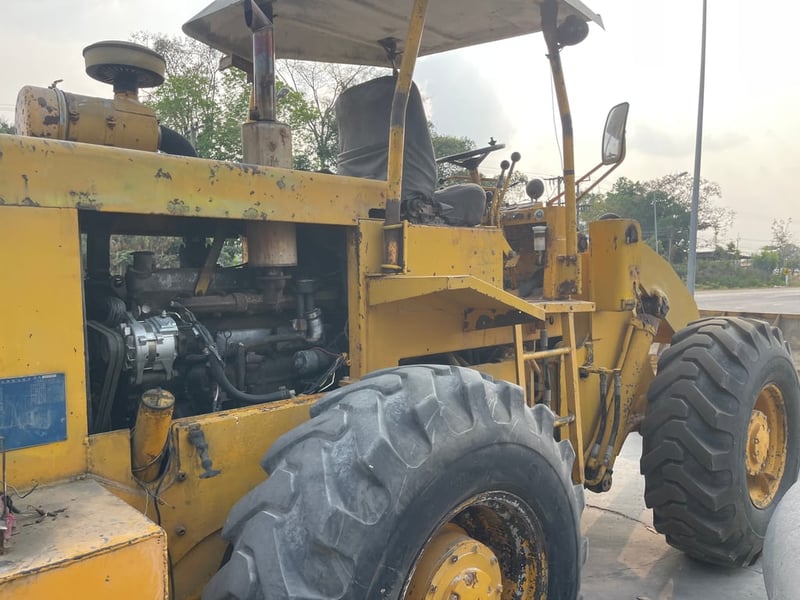 TCM แขนยาว