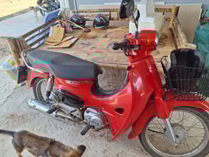 ขาย Super cup 110i 2021