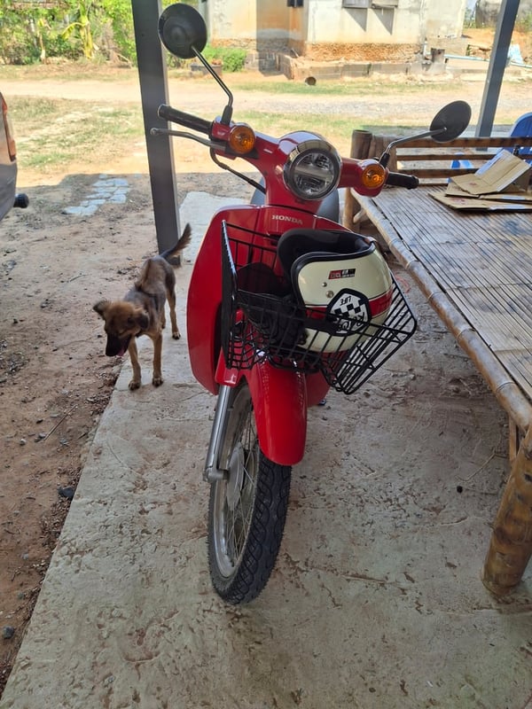 ขาย Super cup 110i 2021