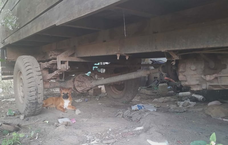 ขายรถอีแต๋นเกียร์ 2 ลูกเครื่องคูโบต้า 15แรง 80,000 บาทต่อรองครับ