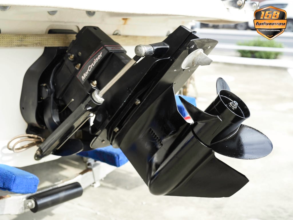 🛥 SeaRay 190 Sport 3.0L Y2013 🛥 SeaRay 190 Sport 3.0L Y2013