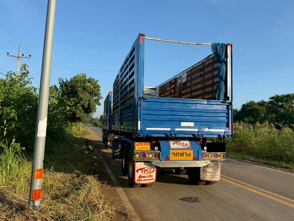 เจ้าของขายเองครับ 344 ปี65 ครับ ดั้มพ์แม่-ลูก