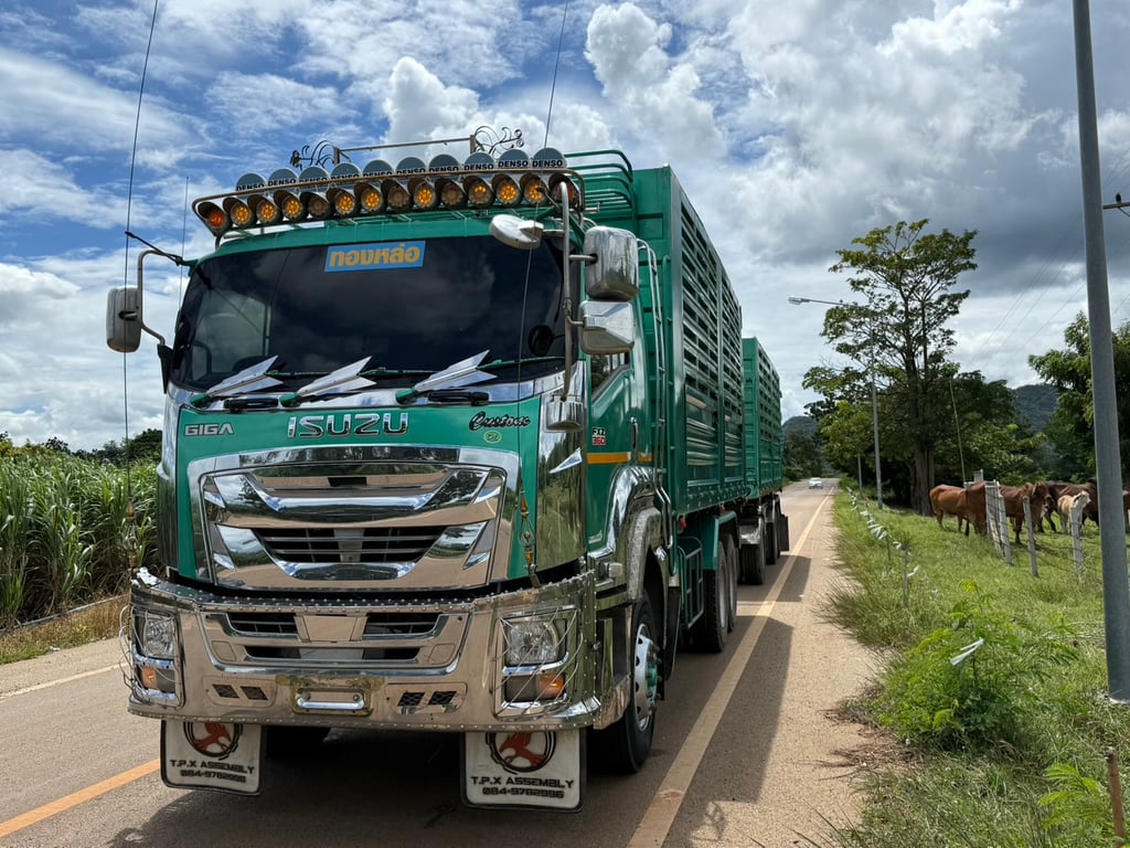 เจ้าของขายเองครับ 360 แม่ปี66 ลูกปี67 ครับ ดั้มพ์แม่-ลูก เจ้าของขายเองครับ 360 แม่ปี66 ลูกปี67 ครับ ดั้มพ์แม่-ลูก