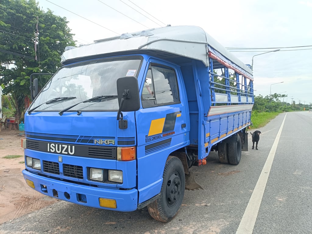 ขายรถโดนสาร6ล้อISUZU NKR110แรงม้า รถห้างแท้ เกียร์สั้น ยกหัวได้ เครื่องเยี่ยม แชสซีสวยๆ เอกสารครบพร้อมโอนทั่วไทย ขายรถโดนสาร6ล้อISUZU NKR110แรงม้า รถห้างแท้ เกียร์สั้น ยกหัวได้ เครื่องเยี่ยม แชสซีสวยๆ เอกสารครบพร้อมโอนทั่วไทย