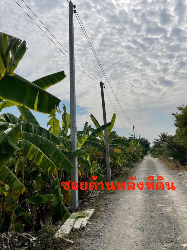 ขายที่ดิน1ไร่ ทำเลทอง ราชพฤษตัดใหม่