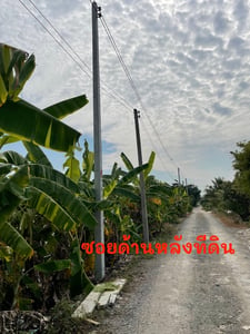 ขายที่ดิน1ไร่ ทำเลทอง ราชพฤษตัดใหม่