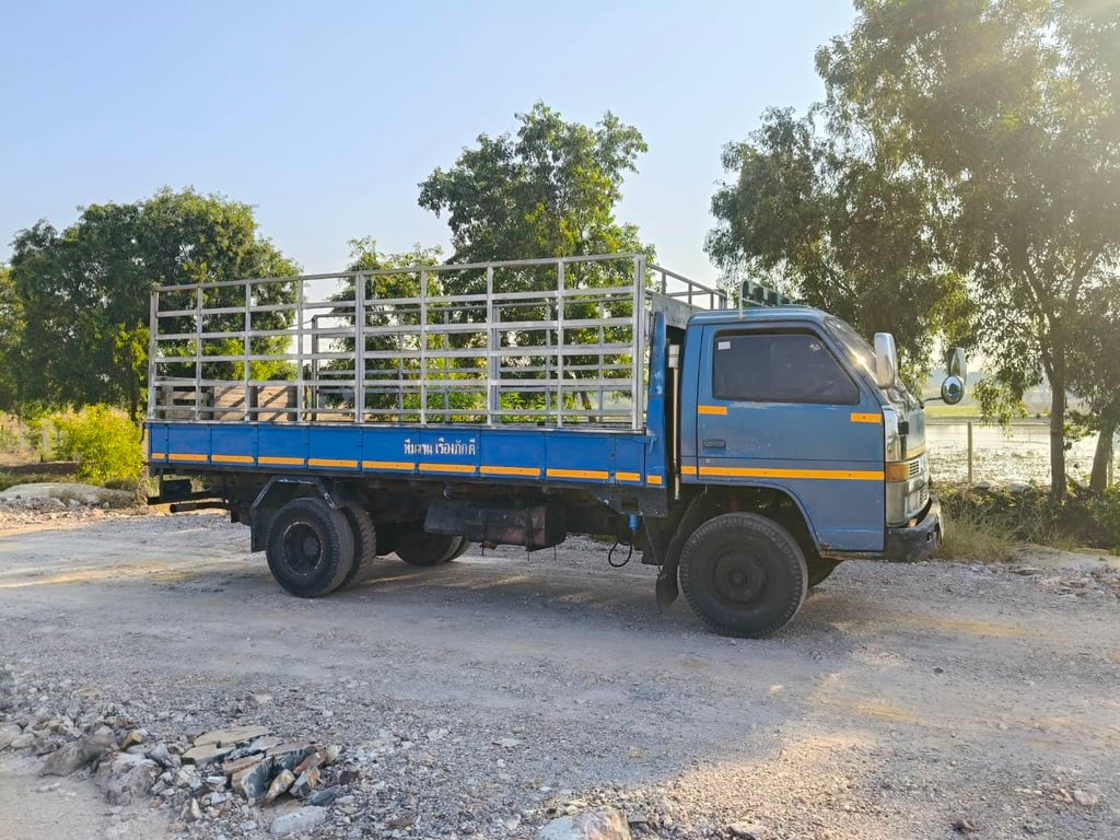 รถ6ล้อคอกสูง