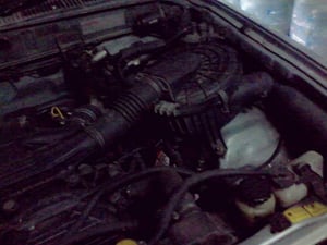 รถกะบะแค๊ป Toyota  TIGER 4WD