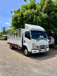 ISUZU FRR 210แรงม้า ปี56