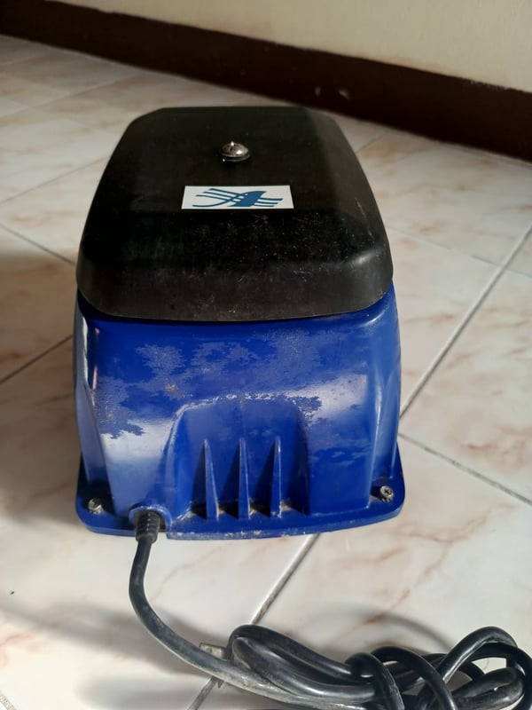 ปั๊มอากาศสำหรับบ่อปลา