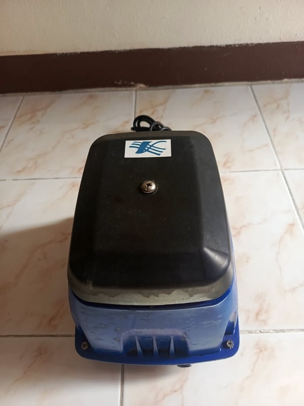 ปั๊มอากาศสำหรับบ่อปลา