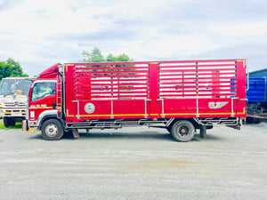 👉 หกล้อคอก ISUZU FRR 210 แรงม้า ปี 62 (9252) 👉 หกล้อคอก ISUZU FRR 210 แรงม้า ปี 62 (9252)