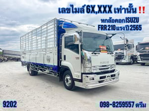 📌 หกล้อคอก ISUZU FRR 210 แรง ปี 2565 (9202) 📌 หกล้อคอก ISUZU FRR 210 แรง ปี 2565 (9202)