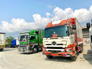 สิบล้อคอก กระบะเหล็ก ‼️ HINO FL8J 260 แรงปี 59 (2895)