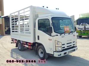 สี่ล้อคอก ISUZU NLR 130 แรง ปี 2555 (8467) สี่ล้อคอก ISUZU NLR 130 แรง ปี 2555 (8467)