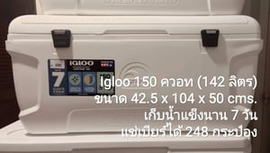 ถังน้ำแข็ง igloo 150 ควอท ของใหม่ใบเดียวลดราคาพิเศษ ถังน้ำแข็ง igloo 150 ควอท ของใหม่ใบเดียวลดราคาพิเศษ